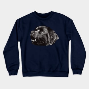 Newfoundland - Newfoundland Christmas Gifts Crewneck Sweatshirt